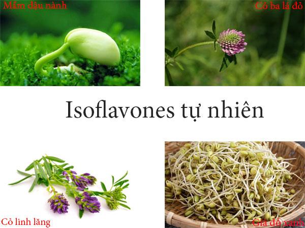 Những loại thực phẩm giàu Isoflavones từ tự nhiên mà bạn nên biết