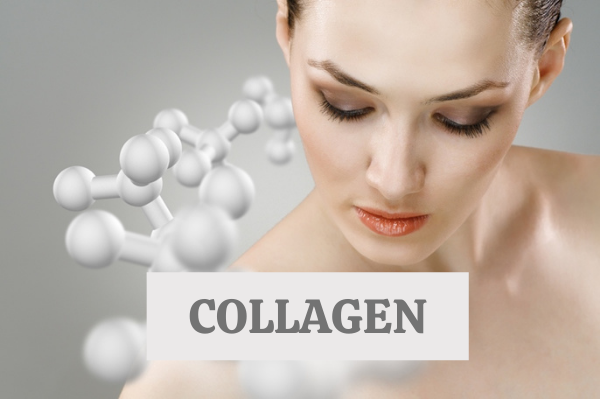 Collagen có tới 70% trong cấu trúc da, quy định độ đàn hồi của da