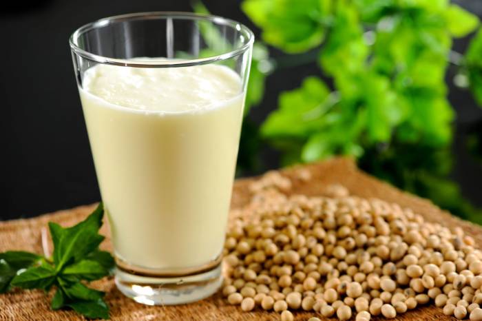 Sữa đậu mầm có chứa nhiều thành phần dinh dưỡng quan trọng cho cơ thể.